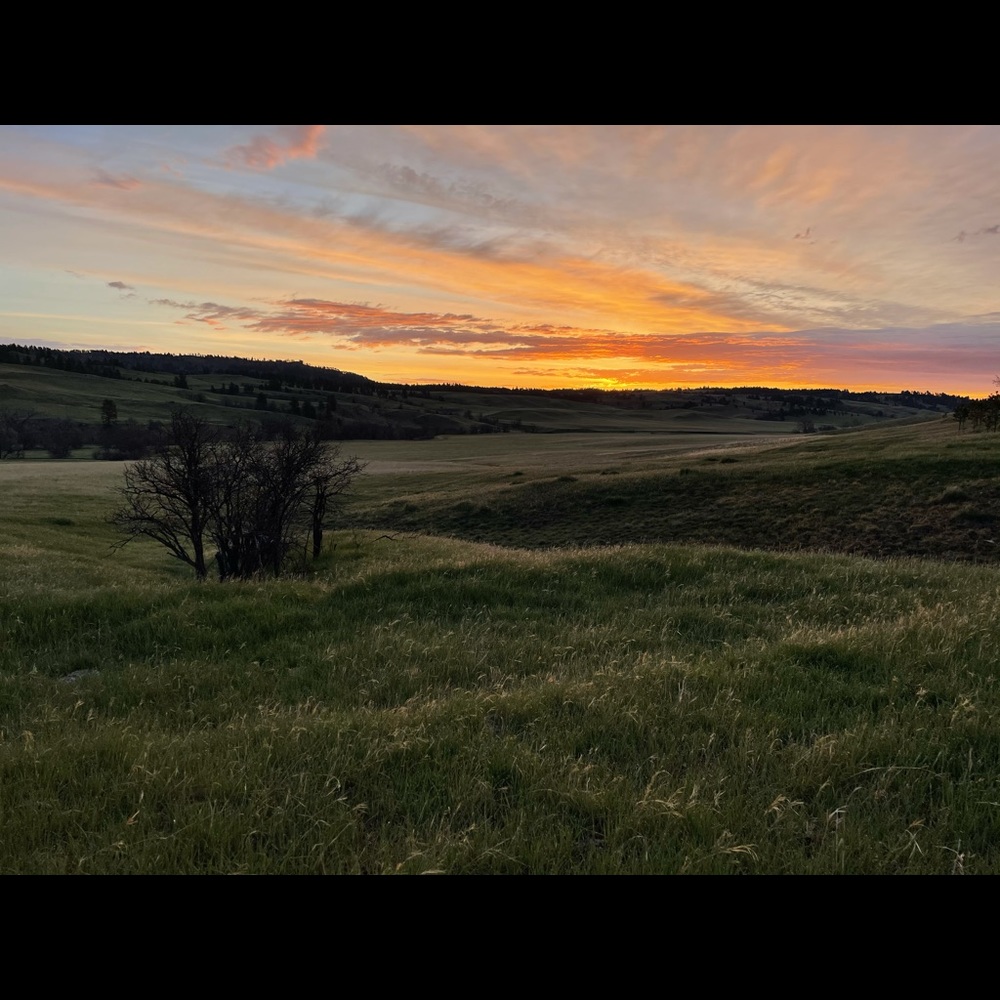 Meet your Posher, Clayton